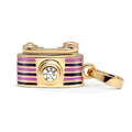 Pink/ Purple Camera Charmulet Delightful 14kt Gold Plated Interactive Charm. - charmulet-2020