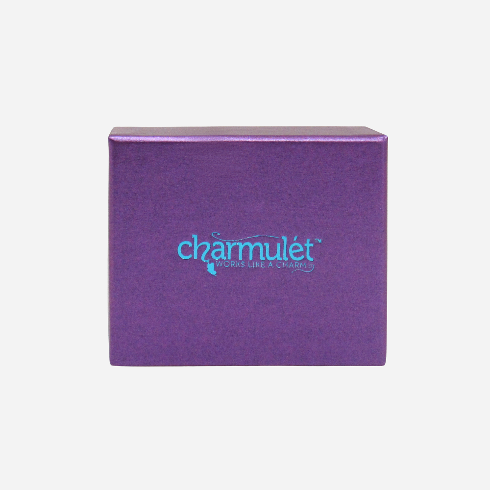 Charm Bracelet 14k Gold Plated With 3 Charms (Blue Petite Pocketbook, Camera, Cell Phone) - charmulet-2020