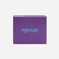 14k Gold Plated Adjustable Charm Bracelet with Violet Camera - charmulet-2020